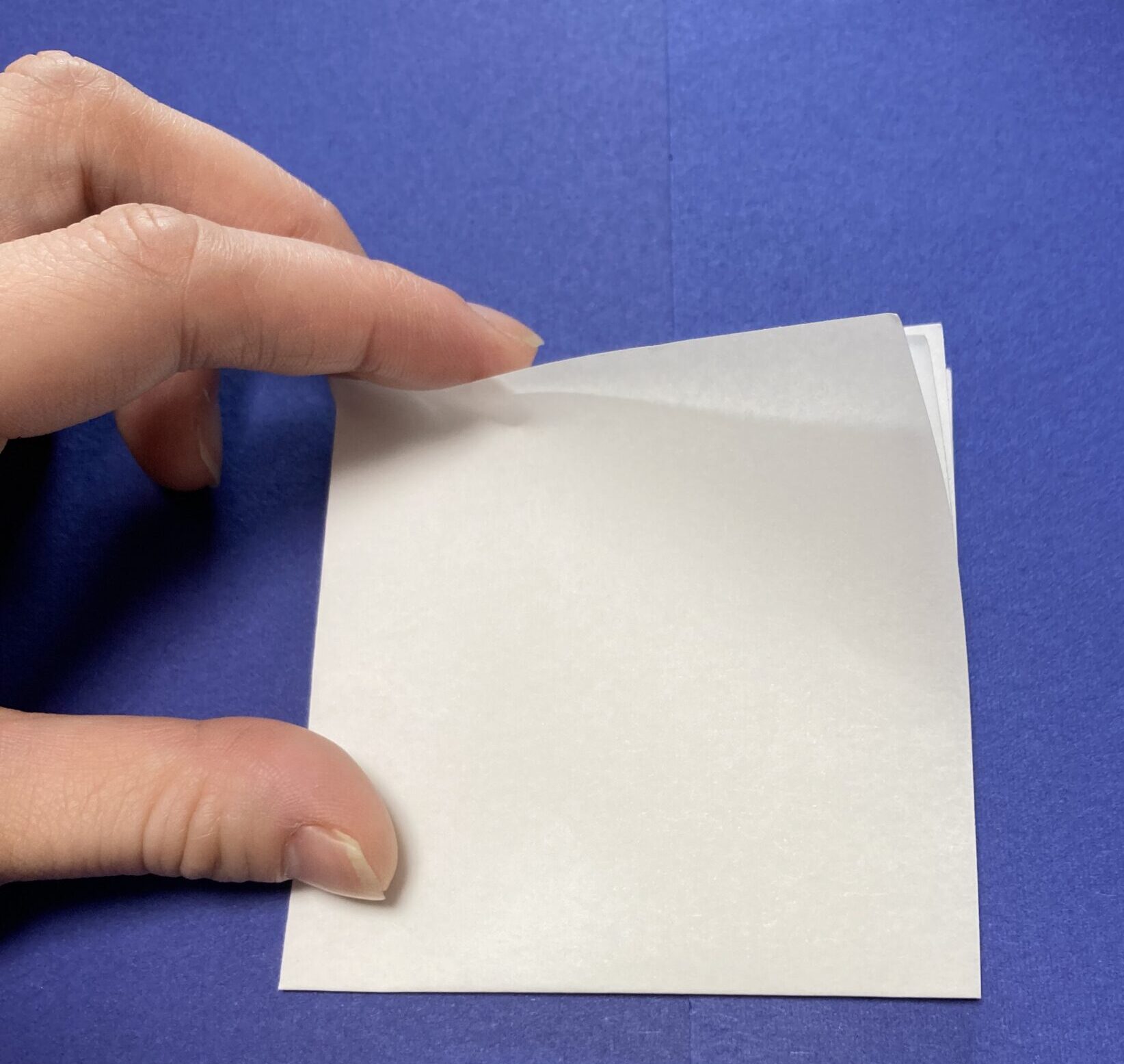 ちょうちょの作り方