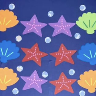 壁面飾り　カラフル貝殻セット